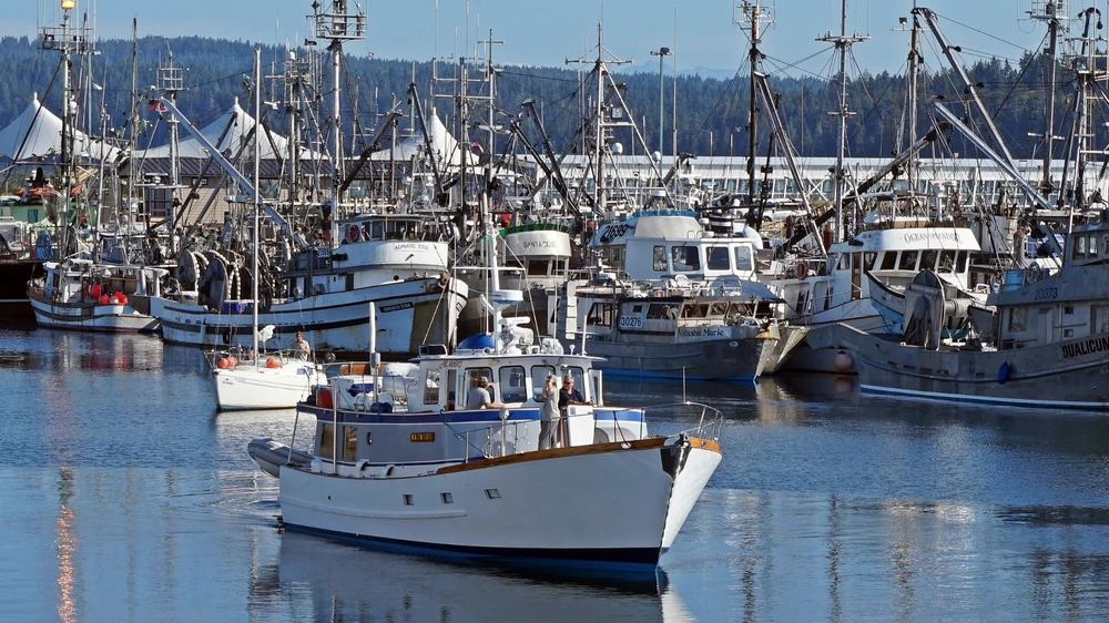 campbell river movers