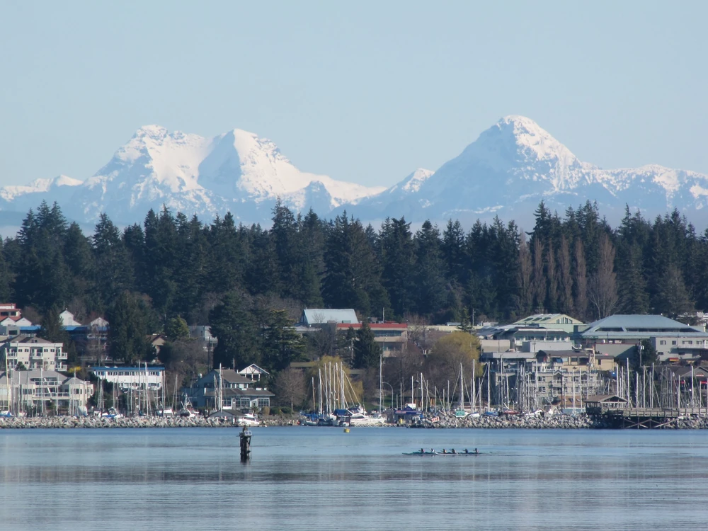 Comox movers